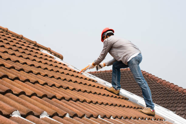 Best Gutter Installation and Repair  in Mansfield, AR